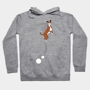 Boxer Dog Jumps Hoodie